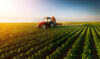 Agriculture and animal